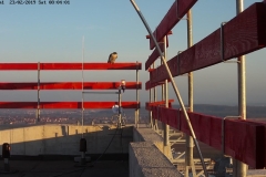 Falken-Cam1-20190223-080403